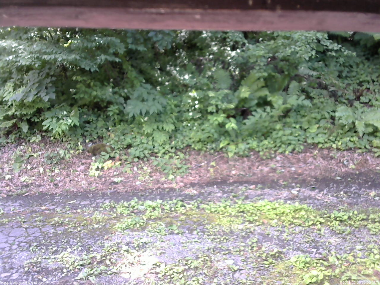長野県菅平高原 ゆたか山荘 南側 2025/07/22 12:00
