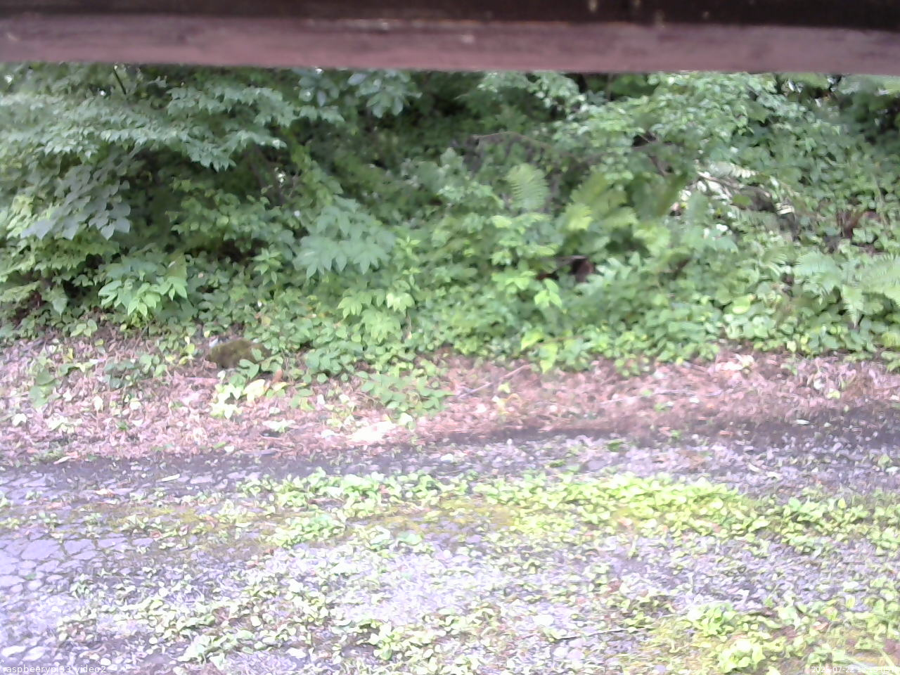 長野県菅平高原 ゆたか山荘 南側 2025/07/22 13:15
