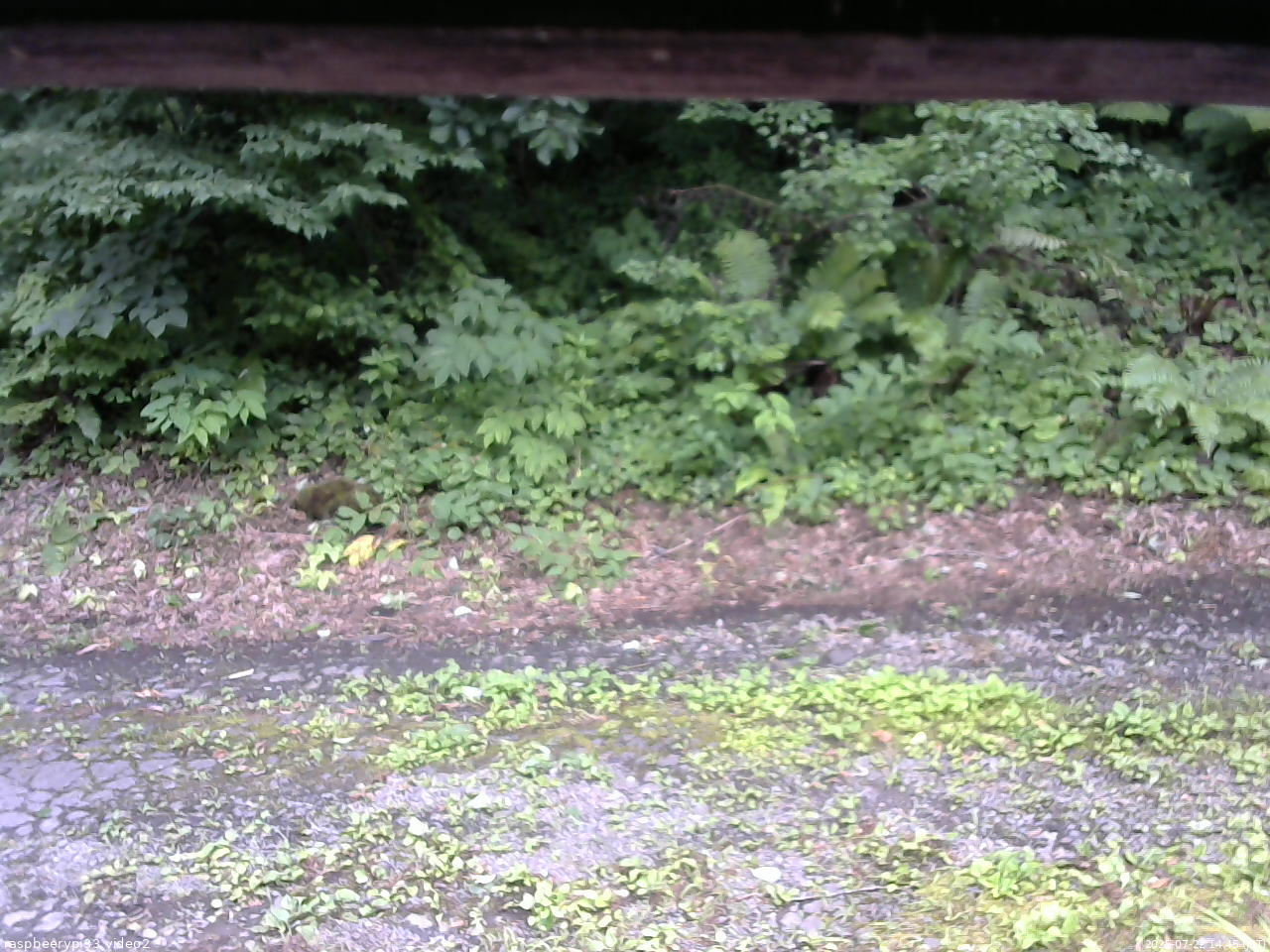 長野県菅平高原 ゆたか山荘 南側 2025/07/22 14:45