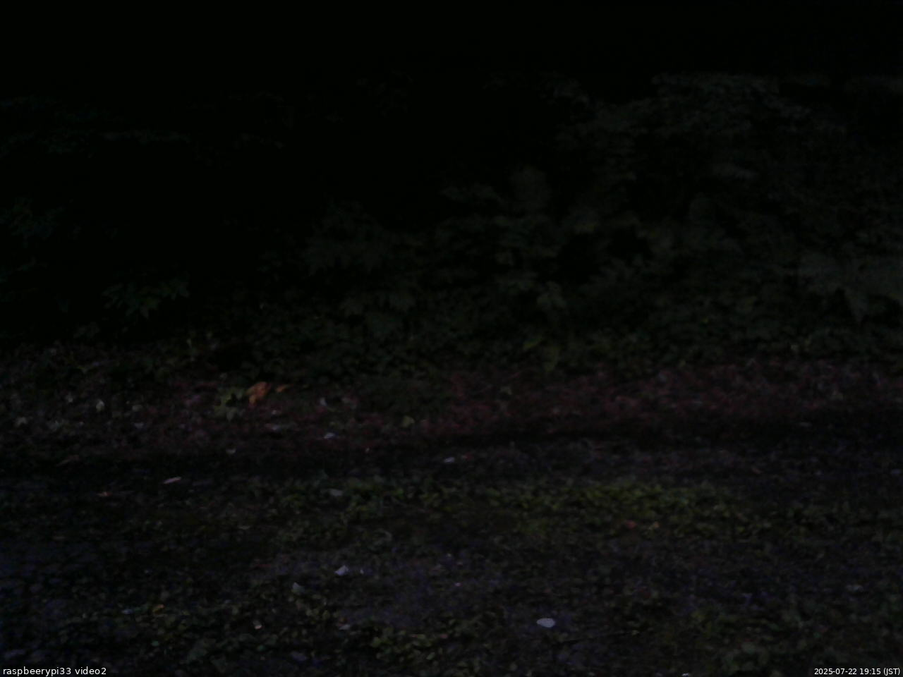 長野県菅平高原 ゆたか山荘 南側 2025/07/22 19:15