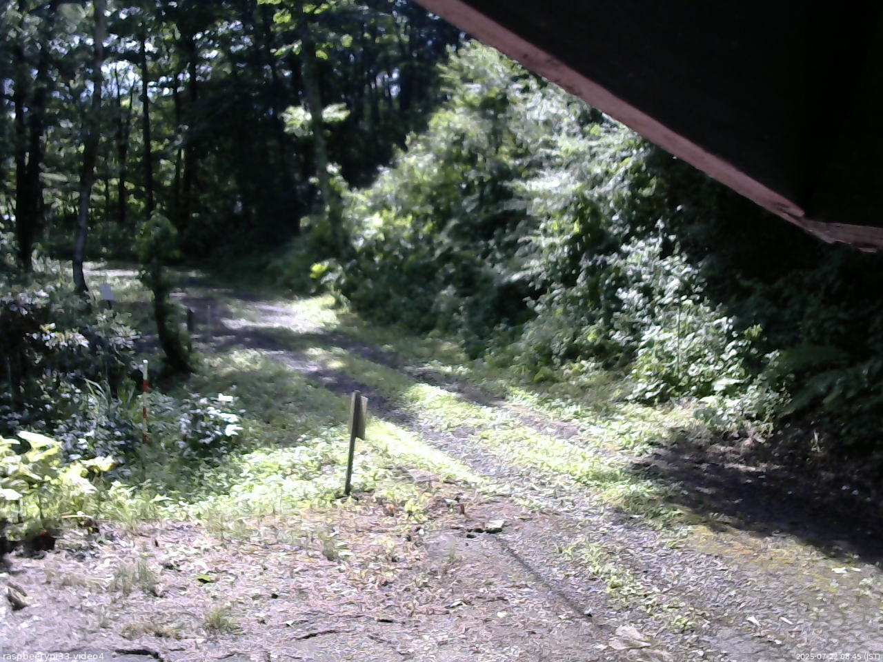 長野県菅平高原 ゆたか山荘 東側(坂下) 2025/07/22 08:45