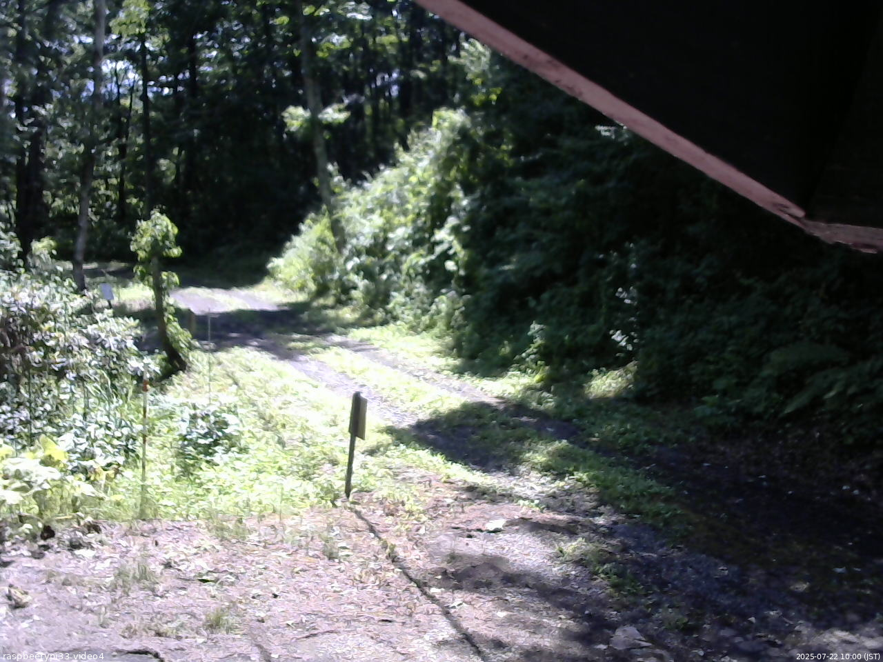 長野県菅平高原 ゆたか山荘 東側(坂下) 2025/07/22 10:00