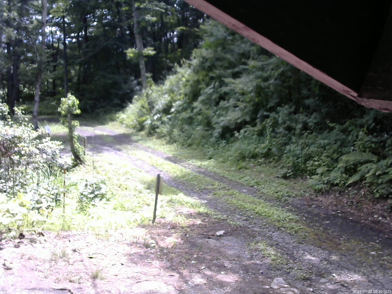 長野県菅平高原 ゆたか山荘 東側(坂下) 2025/07/22 10:30