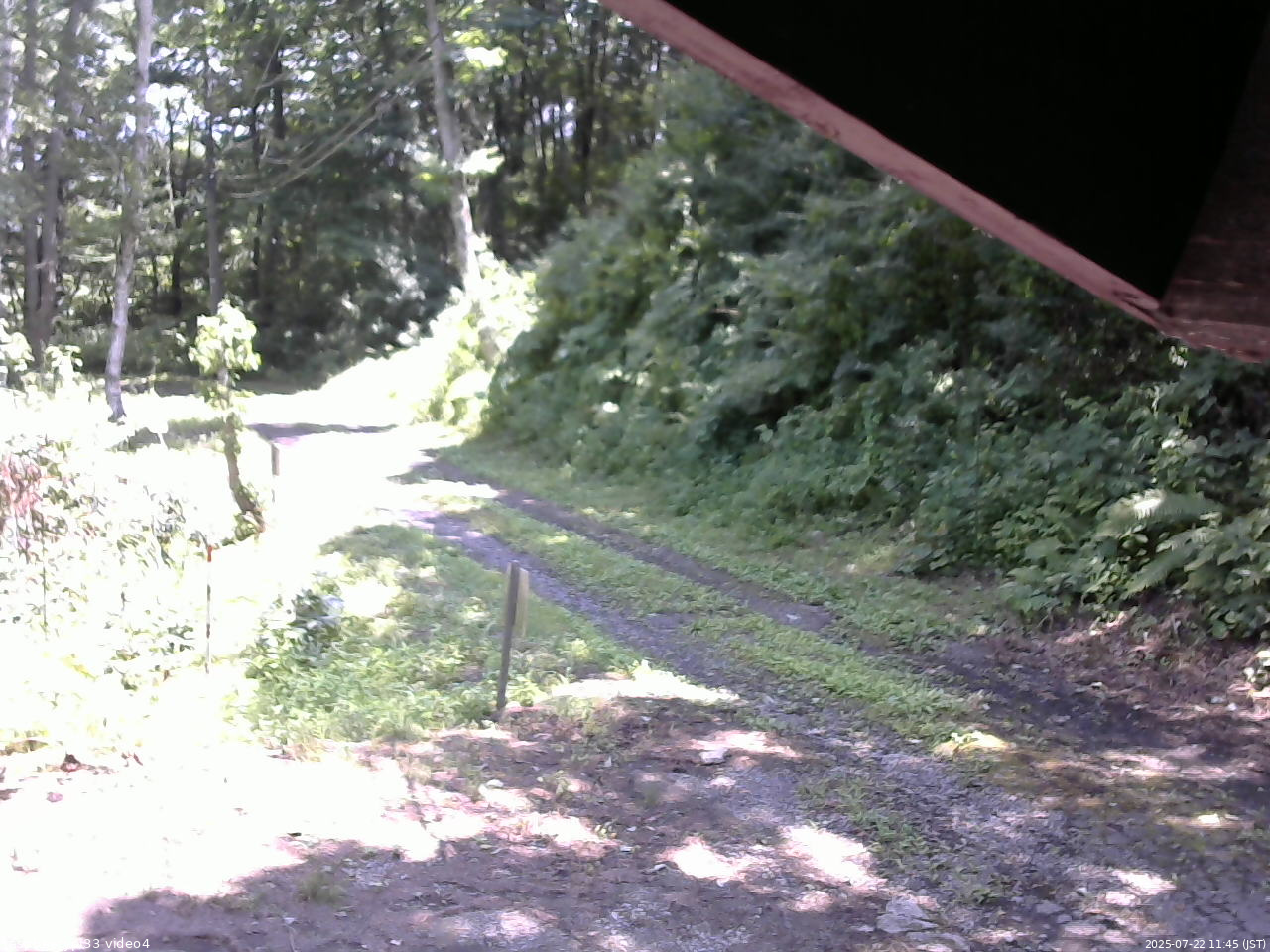長野県菅平高原 ゆたか山荘 東側(坂下) 2025/07/22 11:45