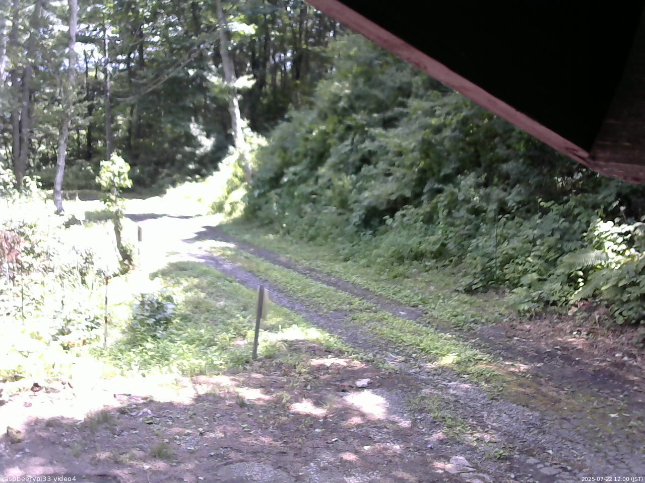 長野県菅平高原 ゆたか山荘 東側(坂下) 2025/07/22 12:00