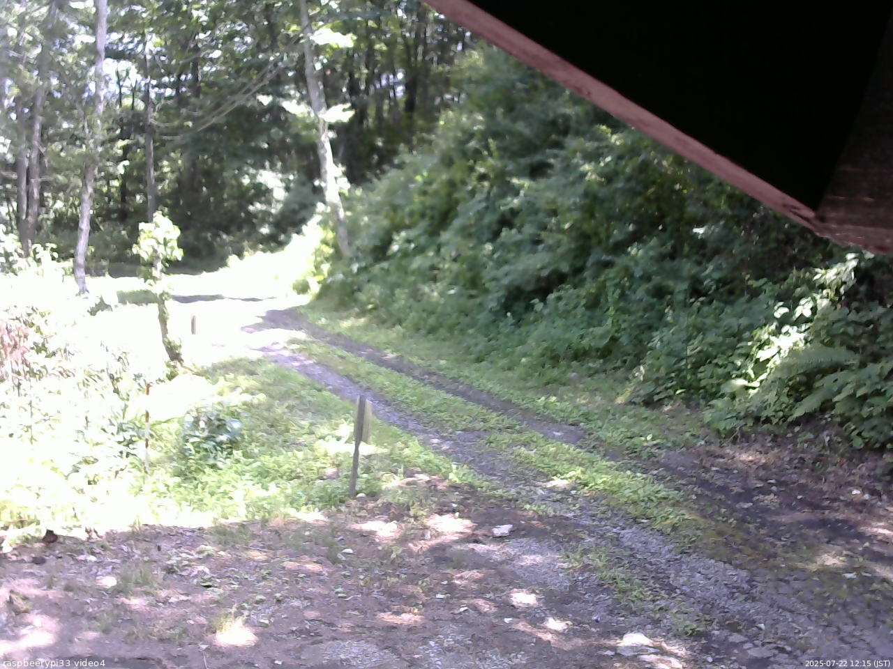 長野県菅平高原 ゆたか山荘 東側(坂下) 2025/07/22 12:15
