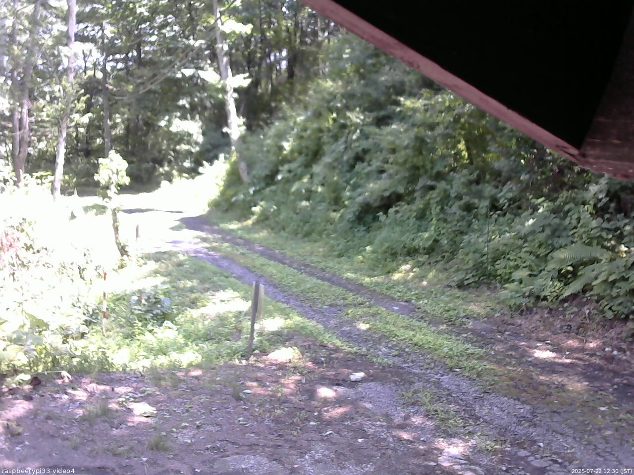 長野県菅平高原 ゆたか山荘 東側(坂下) 2025/07/22 12:30