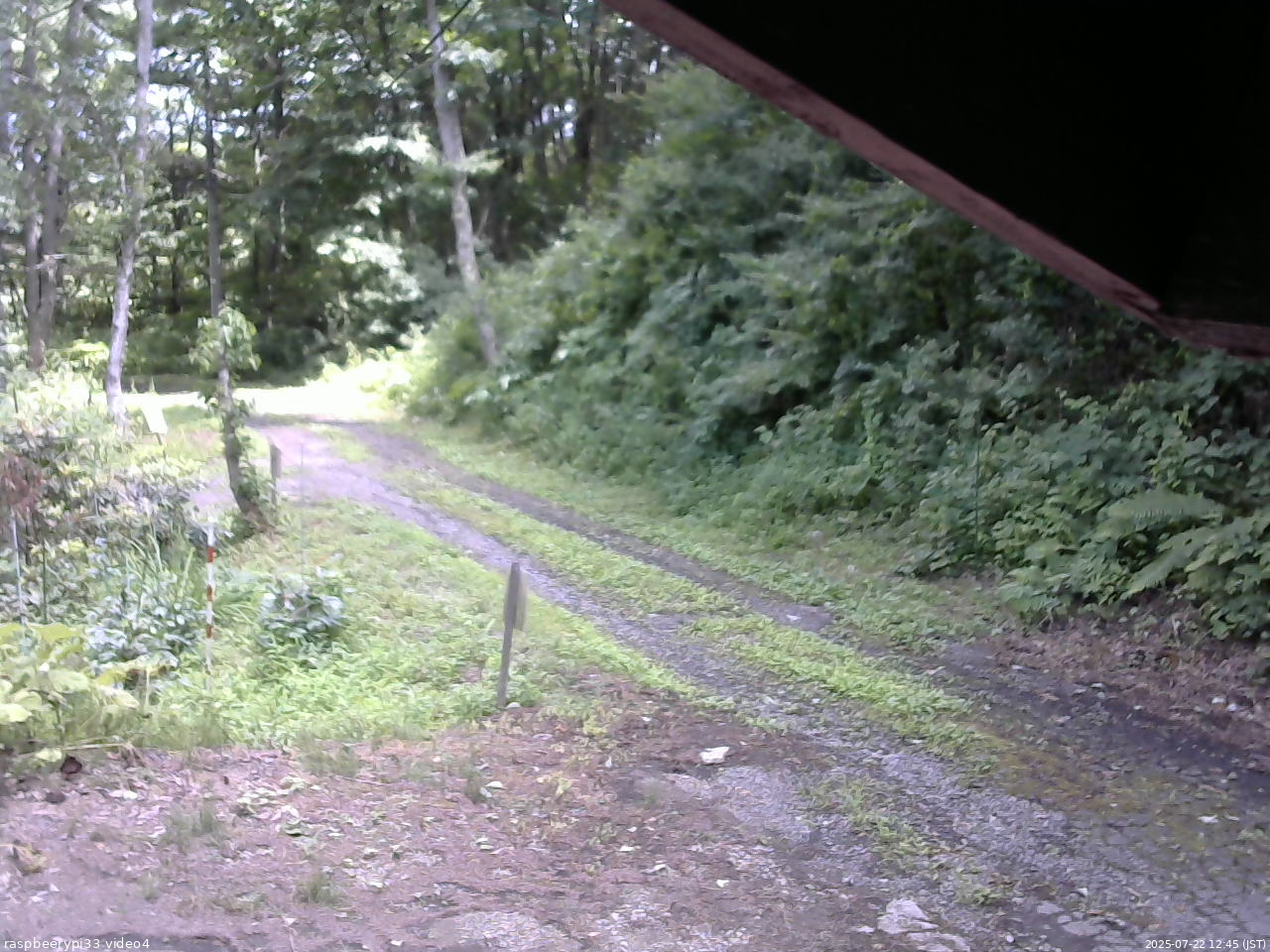 長野県菅平高原 ゆたか山荘 東側(坂下) 2025/07/22 12:45