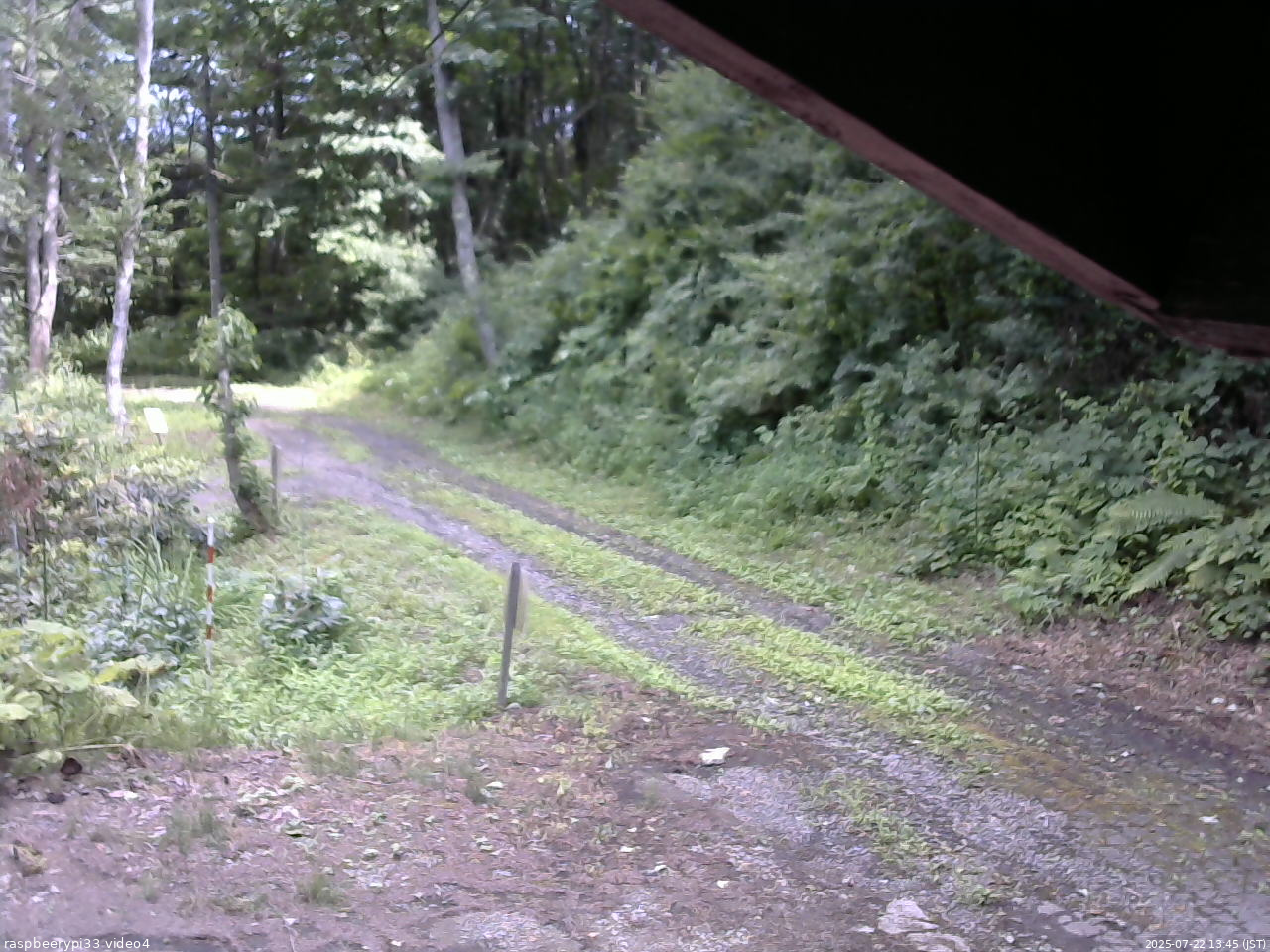 長野県菅平高原 ゆたか山荘 東側(坂下) 2025/07/22 13:45