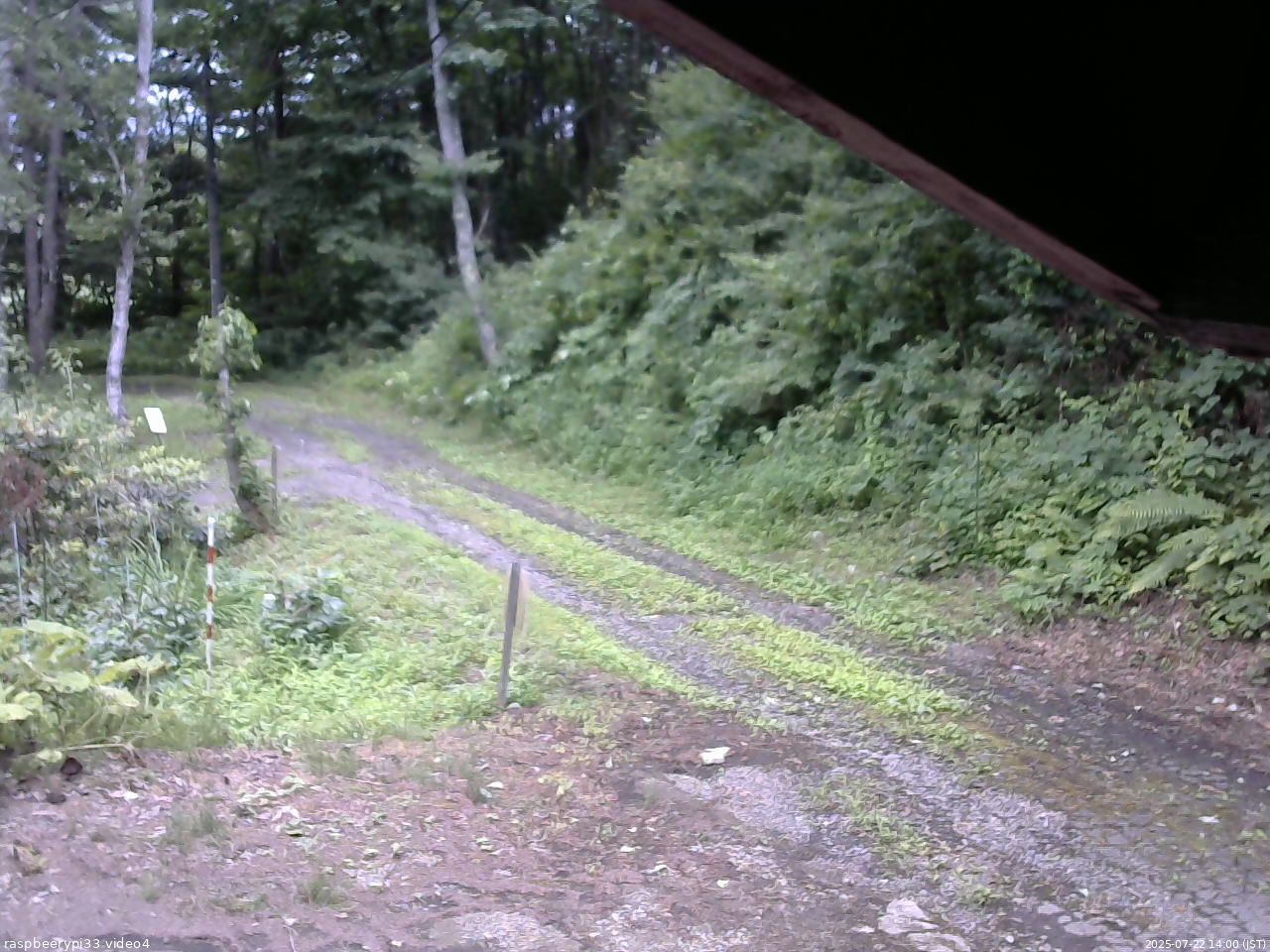 長野県菅平高原 ゆたか山荘 東側(坂下) 2025/07/22 14:00
