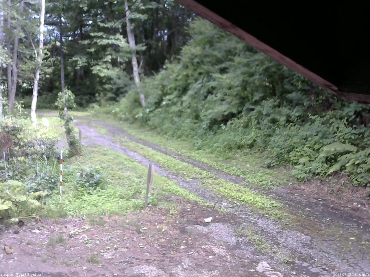長野県菅平高原 ゆたか山荘 東側(坂下) 2025/07/22 14:15