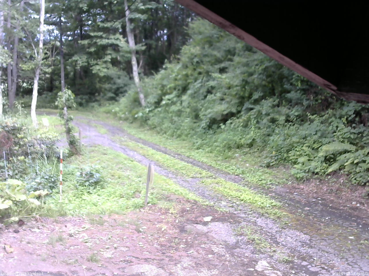 長野県菅平高原 ゆたか山荘 東側(坂下) 2025/07/22 14:45