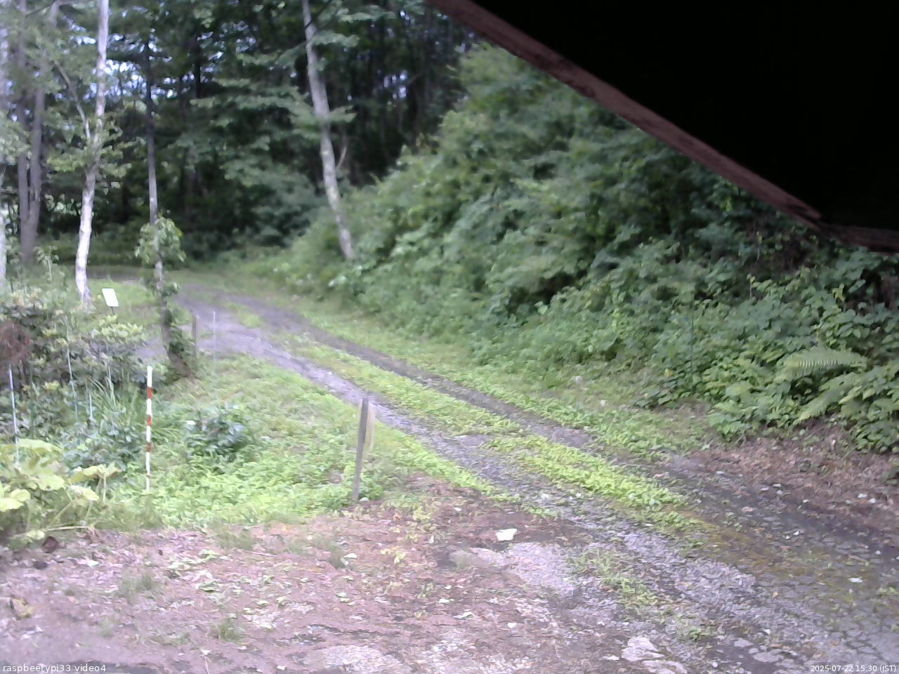 長野県菅平高原 ゆたか山荘 東側(坂下) 2025/07/22 15:30