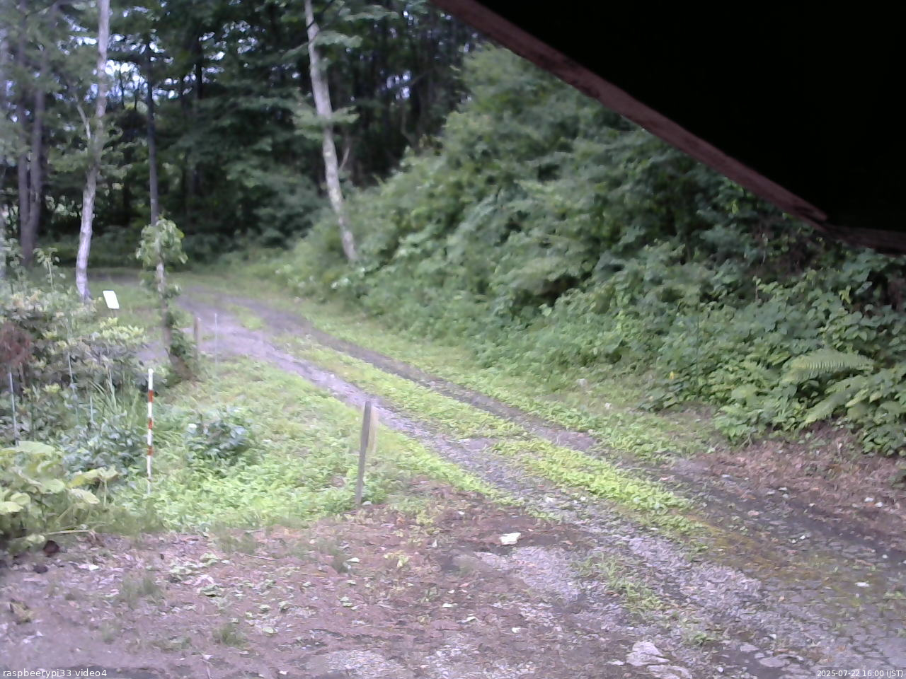 長野県菅平高原 ゆたか山荘 東側(坂下) 2025/07/22 16:00