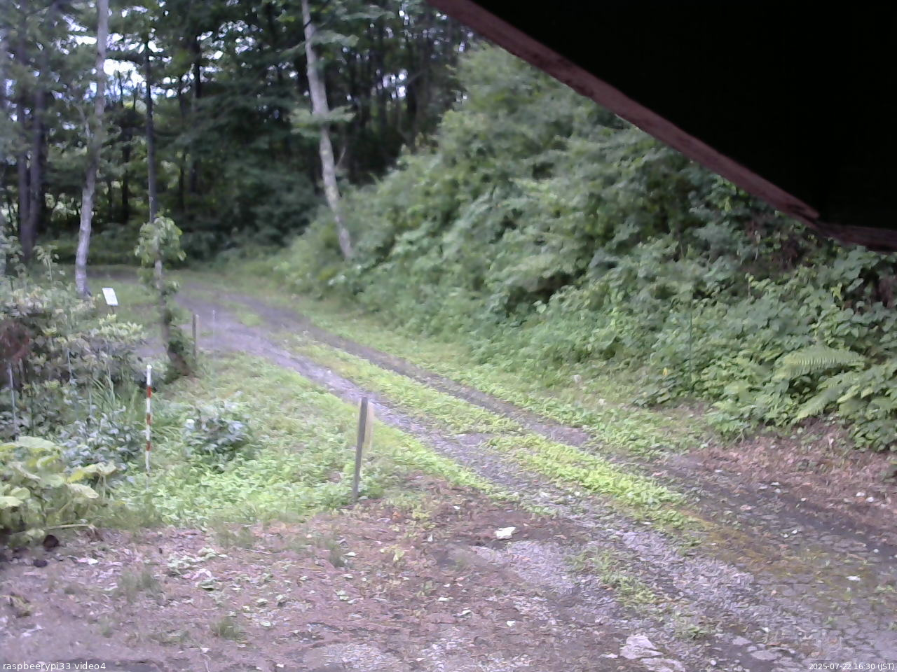 長野県菅平高原 ゆたか山荘 東側(坂下) 2025/07/22 16:30