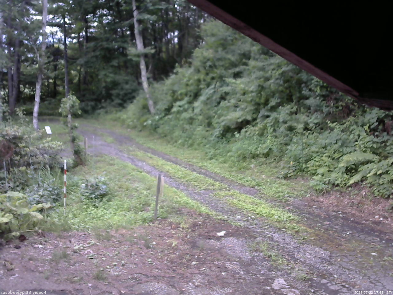 長野県菅平高原 ゆたか山荘 東側(坂下) 2025/07/22 17:45