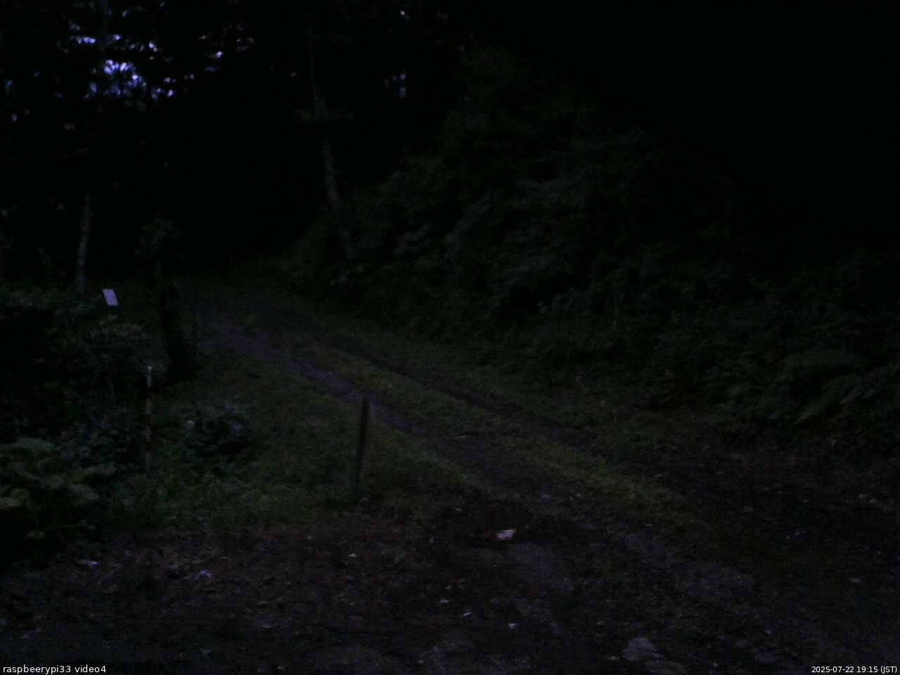 長野県菅平高原 ゆたか山荘 東側(坂下) 2025/07/22 19:15