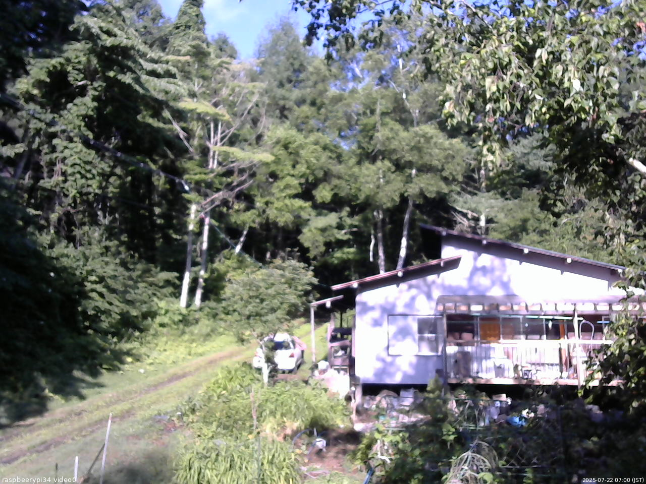 長野県菅平高原 ゆたか山荘 西側(坂上) 2025/07/22 07:00
