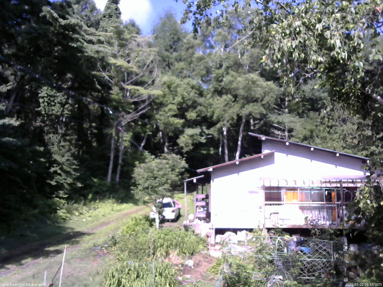 長野県菅平高原 ゆたか山荘 西側(坂上) 2025/07/22 08:15