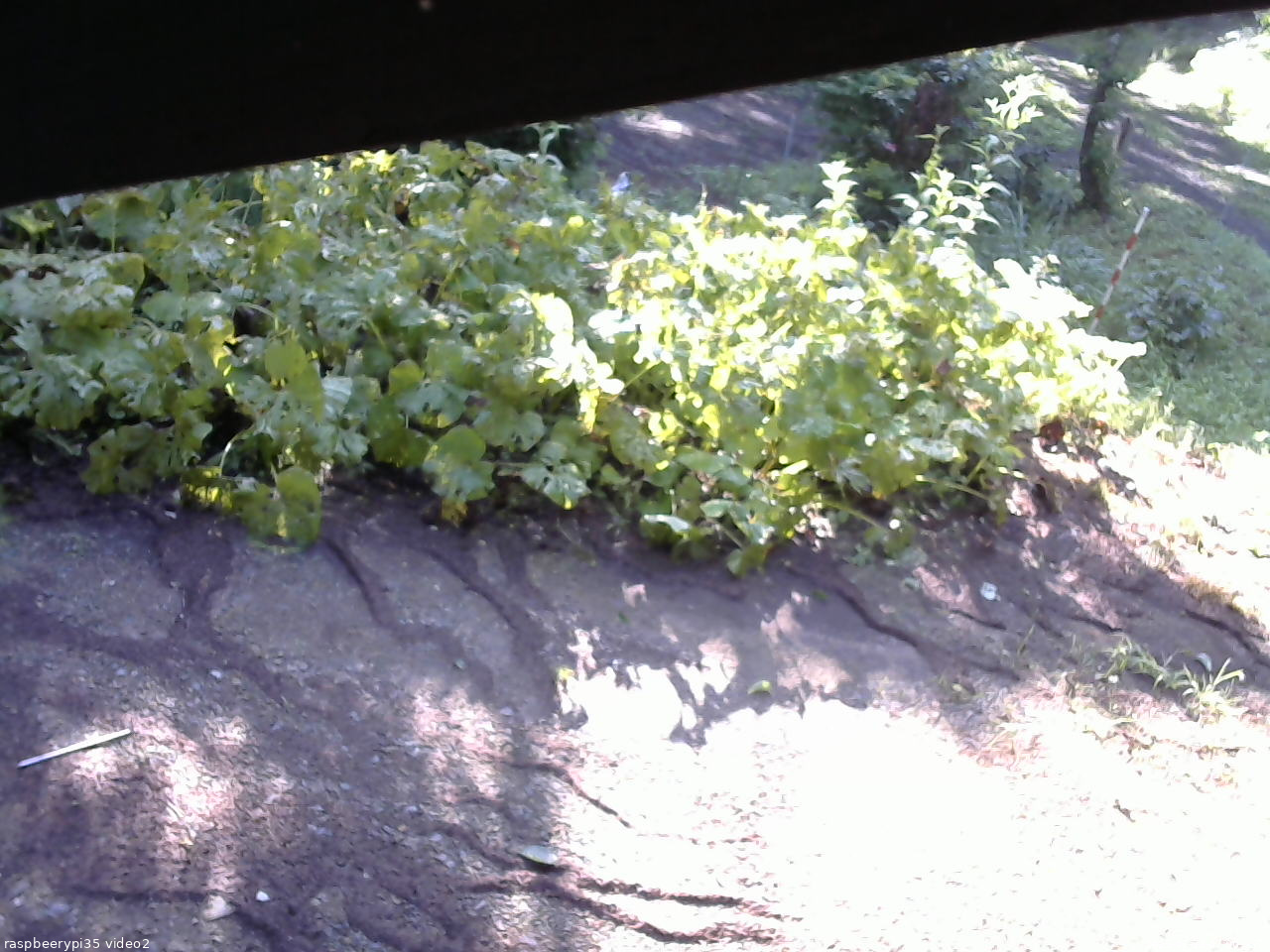 長野県菅平高原 ゆたか山荘 駐車場 2025/07/22 07:00