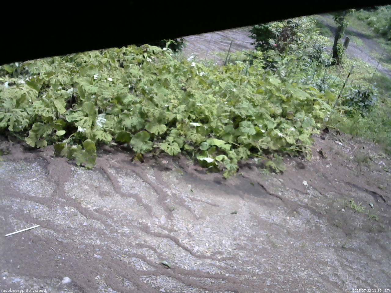 長野県菅平高原 ゆたか山荘 駐車場 2025/07/22 11:30