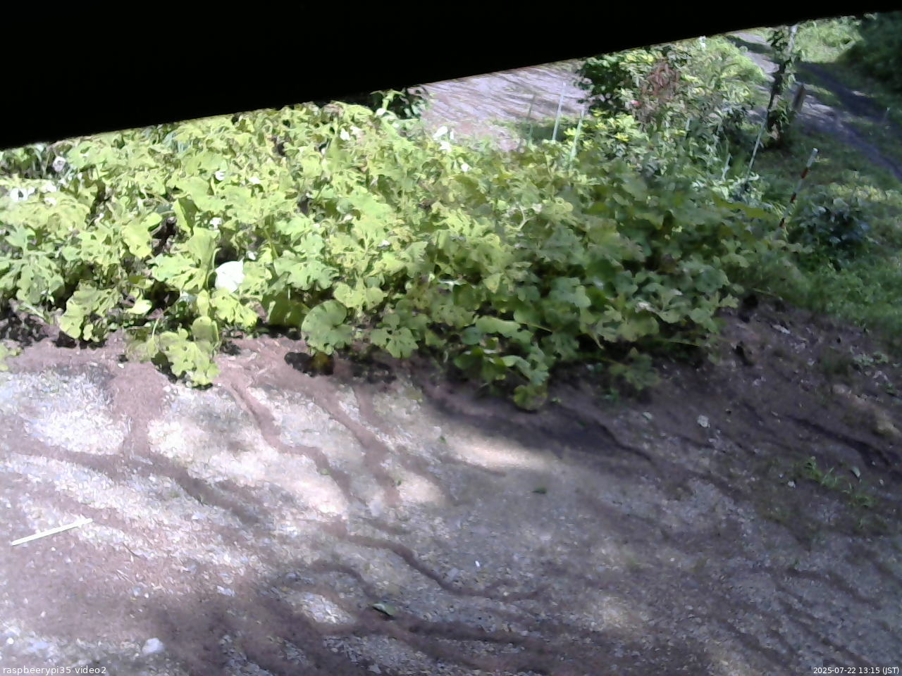 長野県菅平高原 ゆたか山荘 駐車場 2025/07/22 13:15