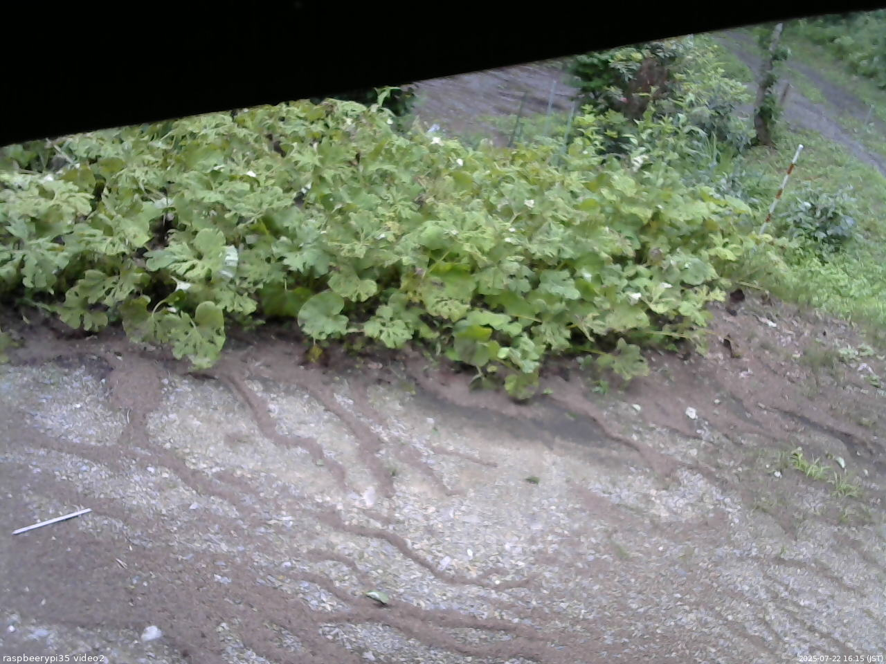 長野県菅平高原 ゆたか山荘 駐車場 2025/07/22 16:15