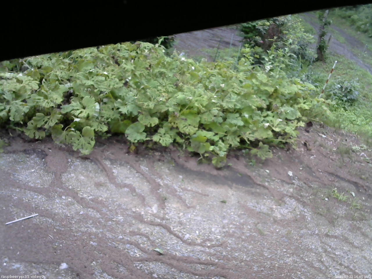 長野県菅平高原 ゆたか山荘 駐車場 2025/07/22 16:45