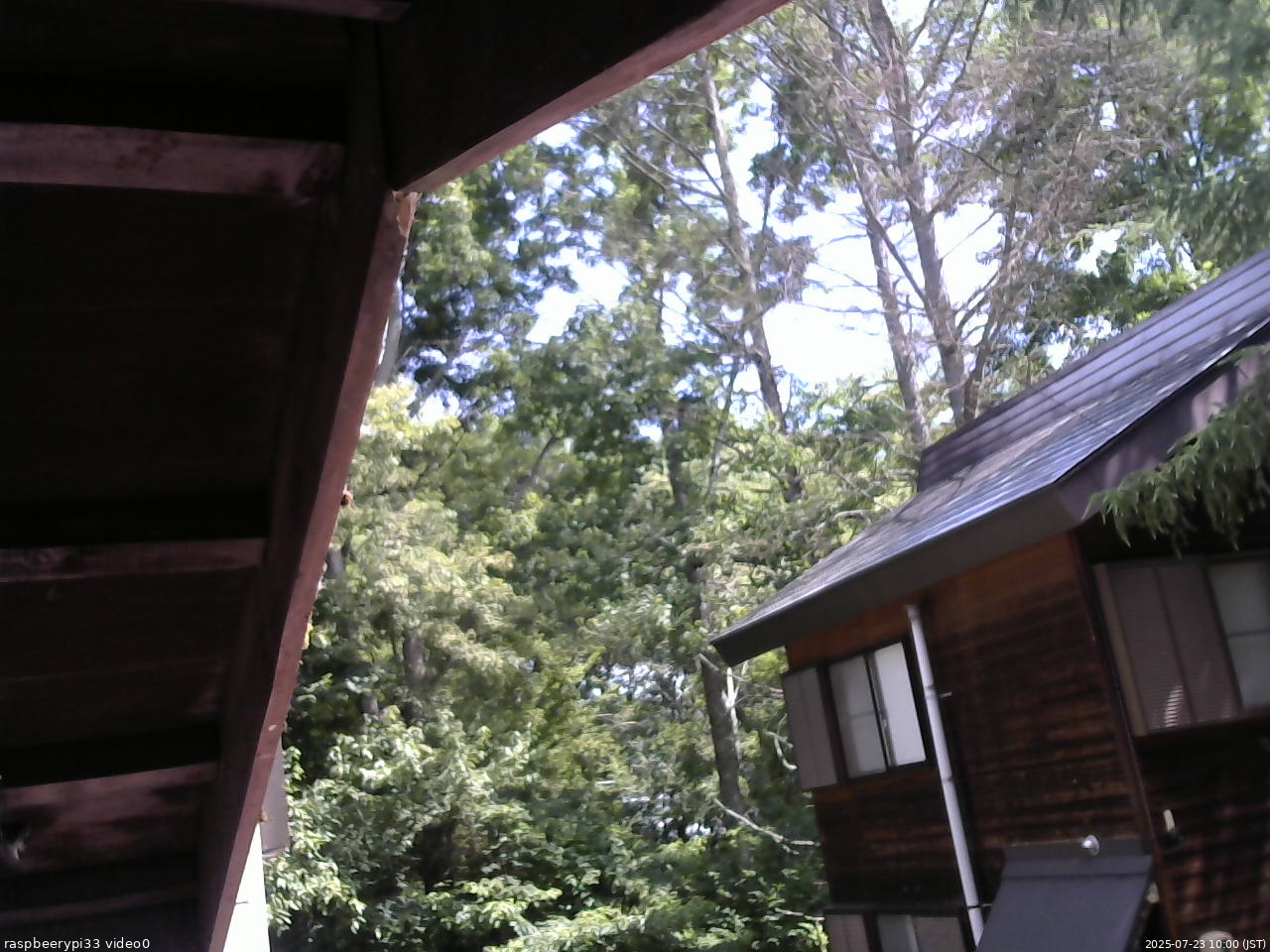 長野県菅平高原 ゆたか山荘 北側 2025/07/23 10:00