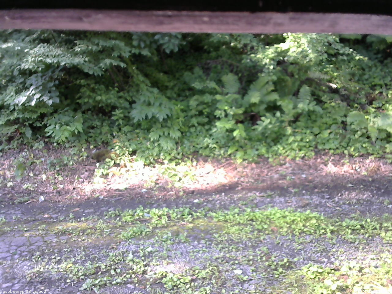 長野県菅平高原 ゆたか山荘 南側 2025/07/23 07:15
