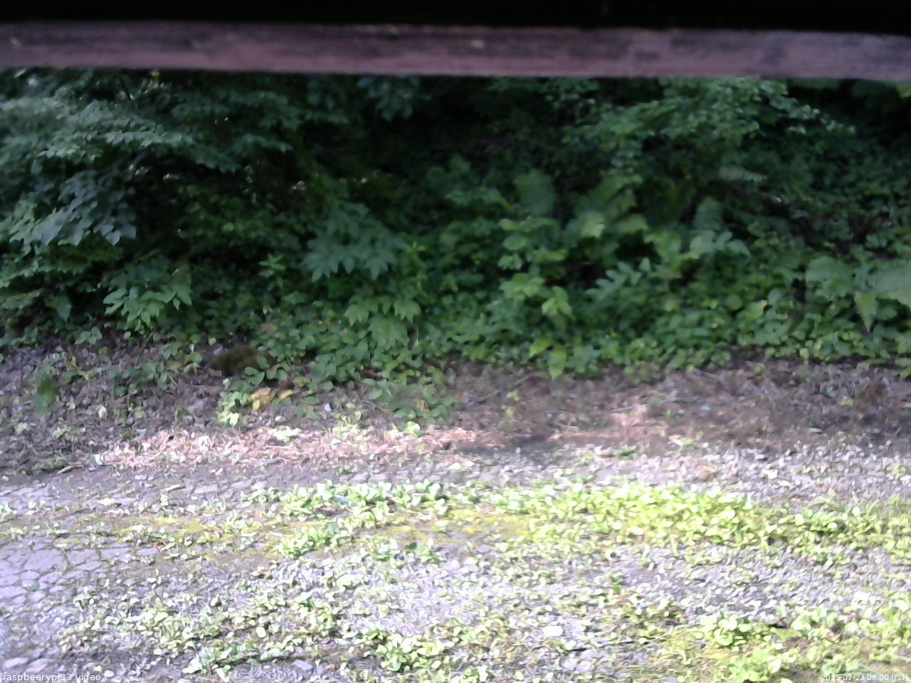 長野県菅平高原 ゆたか山荘 南側 2025/07/23 08:00