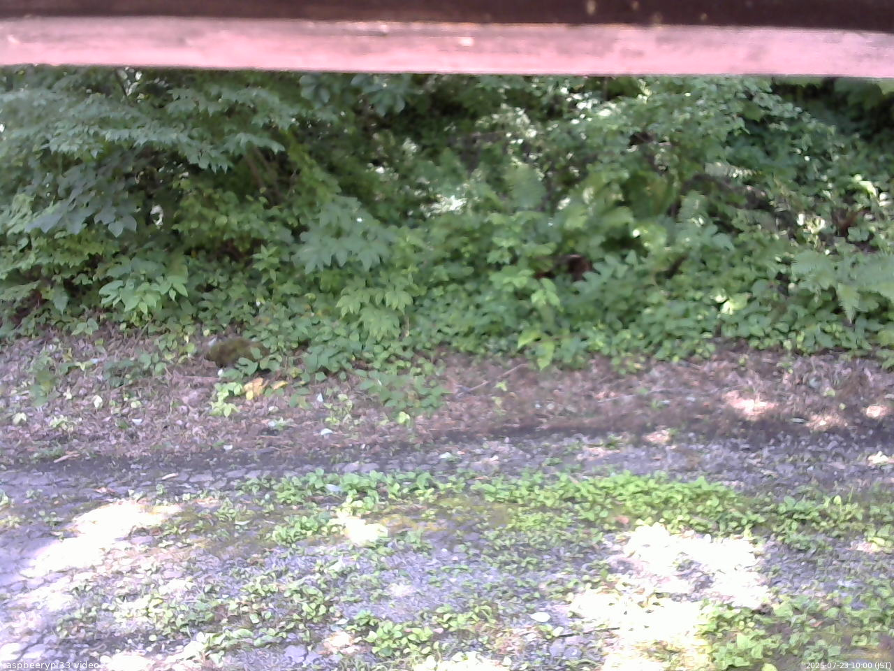 長野県菅平高原 ゆたか山荘 南側 2025/07/23 10:00