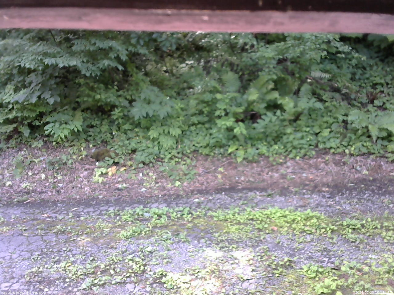 長野県菅平高原 ゆたか山荘 南側 2025/07/23 10:15