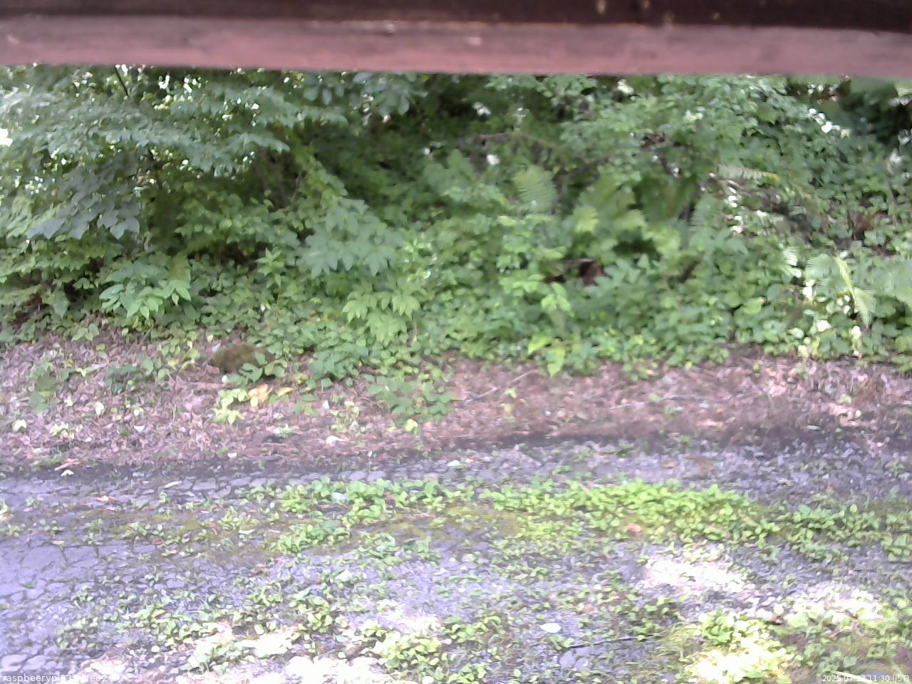 長野県菅平高原 ゆたか山荘 南側 2025/07/23 11:30