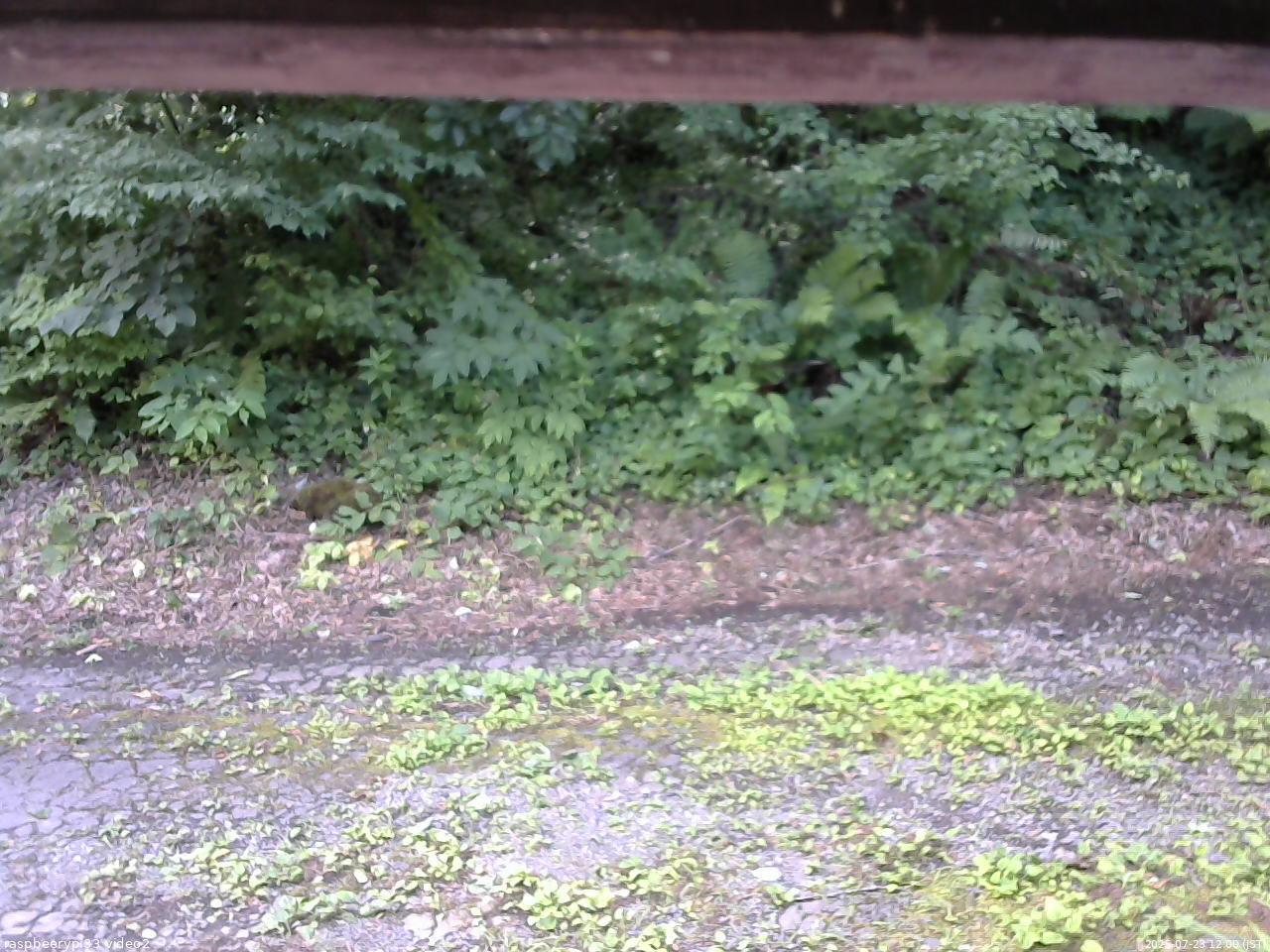 長野県菅平高原 ゆたか山荘 南側 2025/07/23 12:00