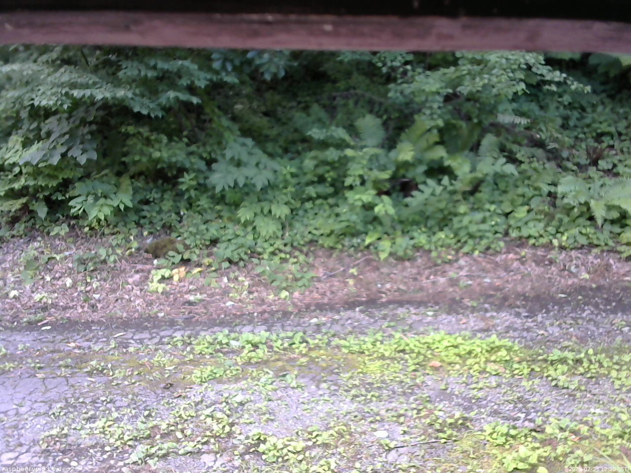 長野県菅平高原 ゆたか山荘 南側 2025/07/23 12:30