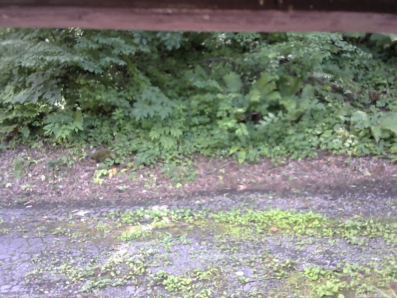 長野県菅平高原 ゆたか山荘 南側 2025/07/23 12:45