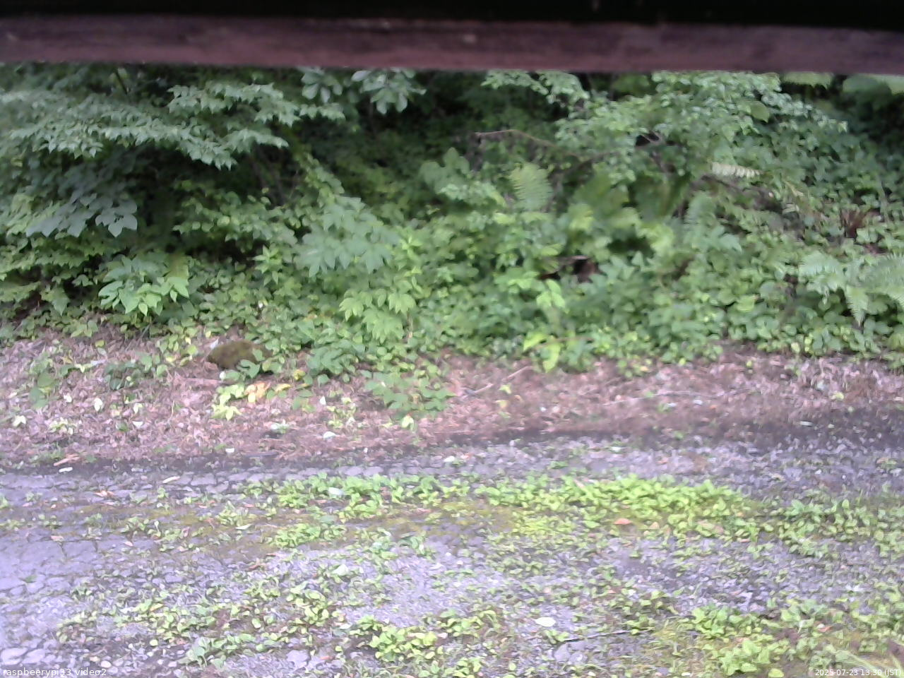 長野県菅平高原 ゆたか山荘 南側 2025/07/23 13:30