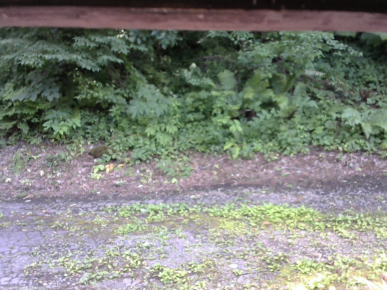 長野県菅平高原 ゆたか山荘 南側 2025/07/23 14:15