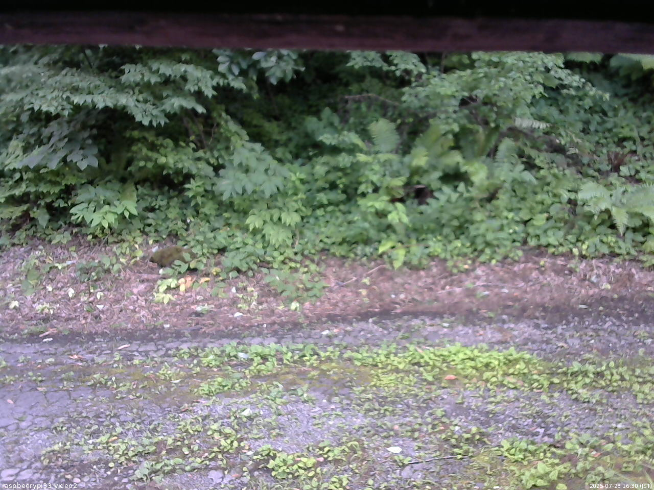 長野県菅平高原 ゆたか山荘 南側 2025/07/23 16:30