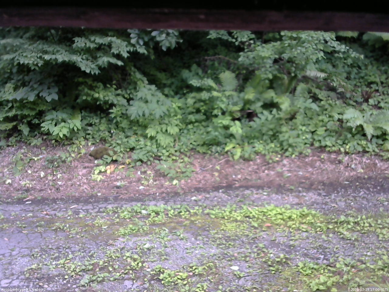 長野県菅平高原 ゆたか山荘 南側 2025/07/23 17:00
