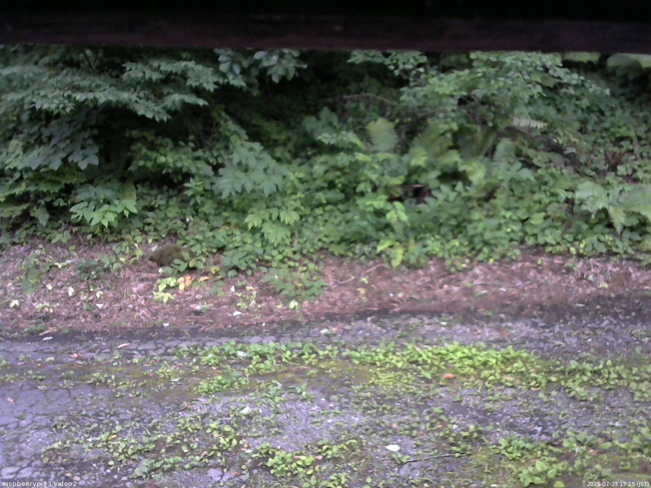 長野県菅平高原 ゆたか山荘 南側 2025/07/23 17:15