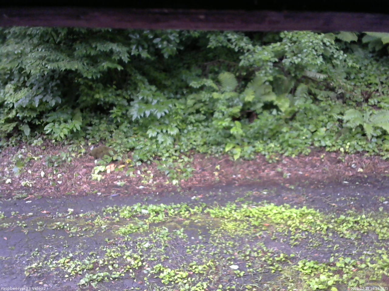 長野県菅平高原 ゆたか山荘 南側 2025/07/23 18:15