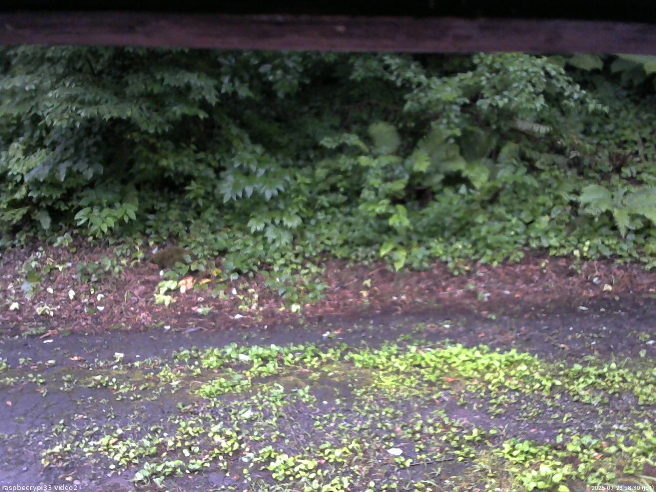 長野県菅平高原 ゆたか山荘 南側 2025/07/23 18:30