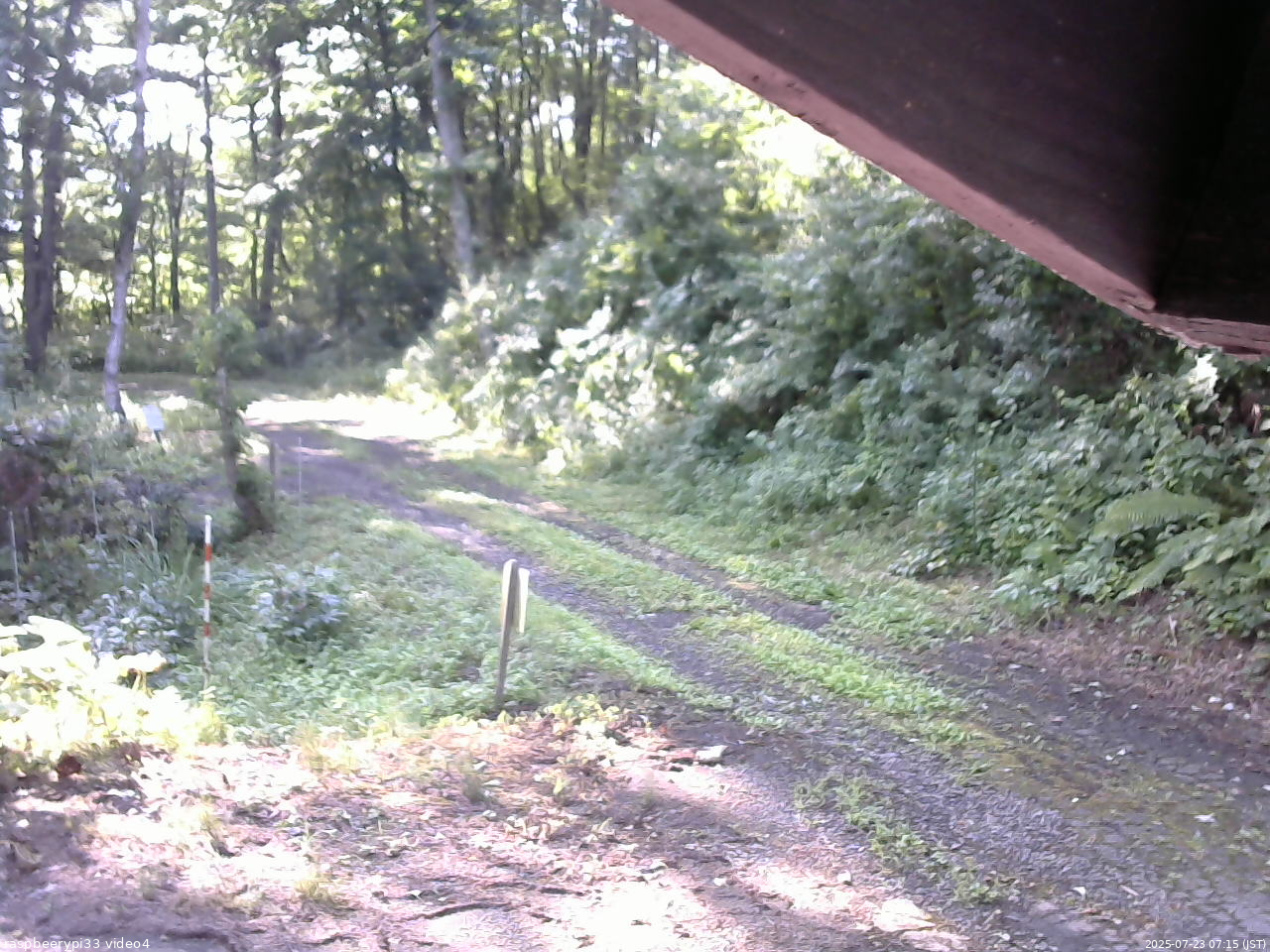 長野県菅平高原 ゆたか山荘 東側(坂下) 2025/07/23 07:15