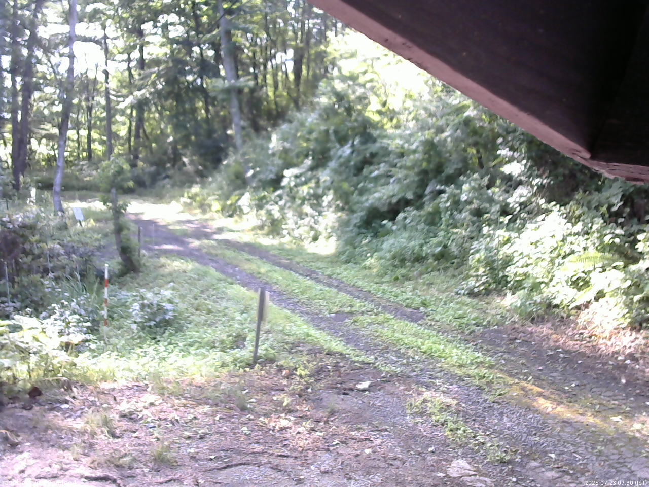 長野県菅平高原 ゆたか山荘 東側(坂下) 2025/07/23 07:30