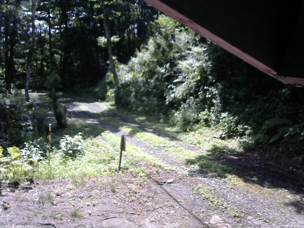 長野県菅平高原 ゆたか山荘 東側(坂下) 2025/07/23 09:00