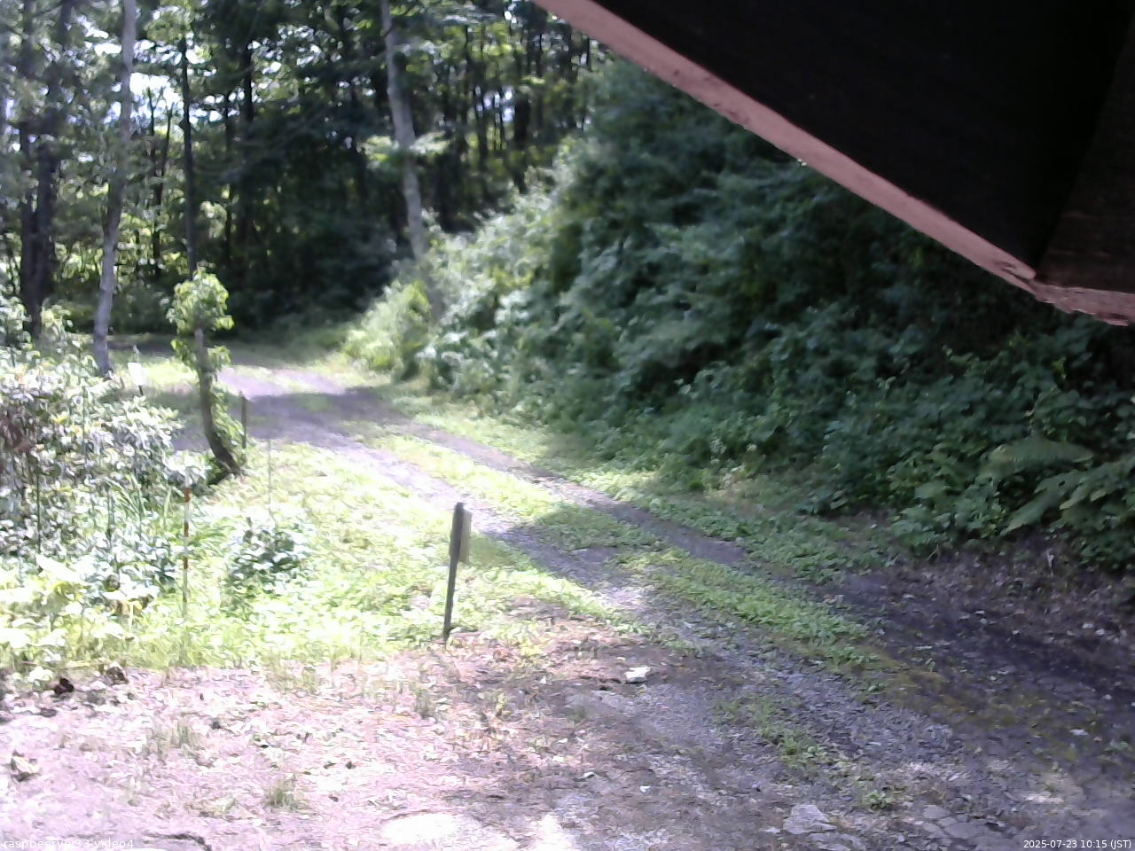 長野県菅平高原 ゆたか山荘 東側(坂下) 2025/07/23 10:15