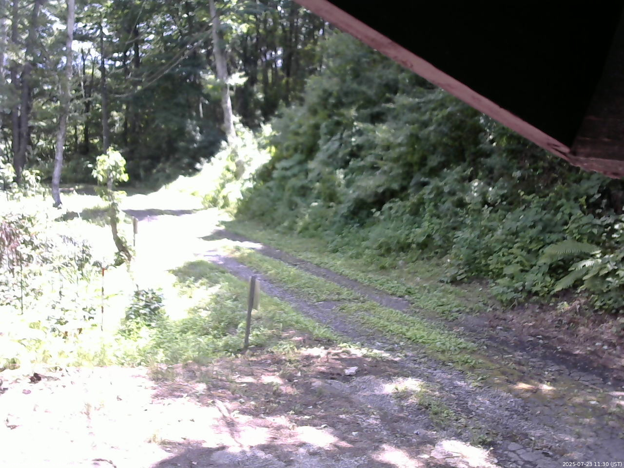 長野県菅平高原 ゆたか山荘 東側(坂下) 2025/07/23 11:30