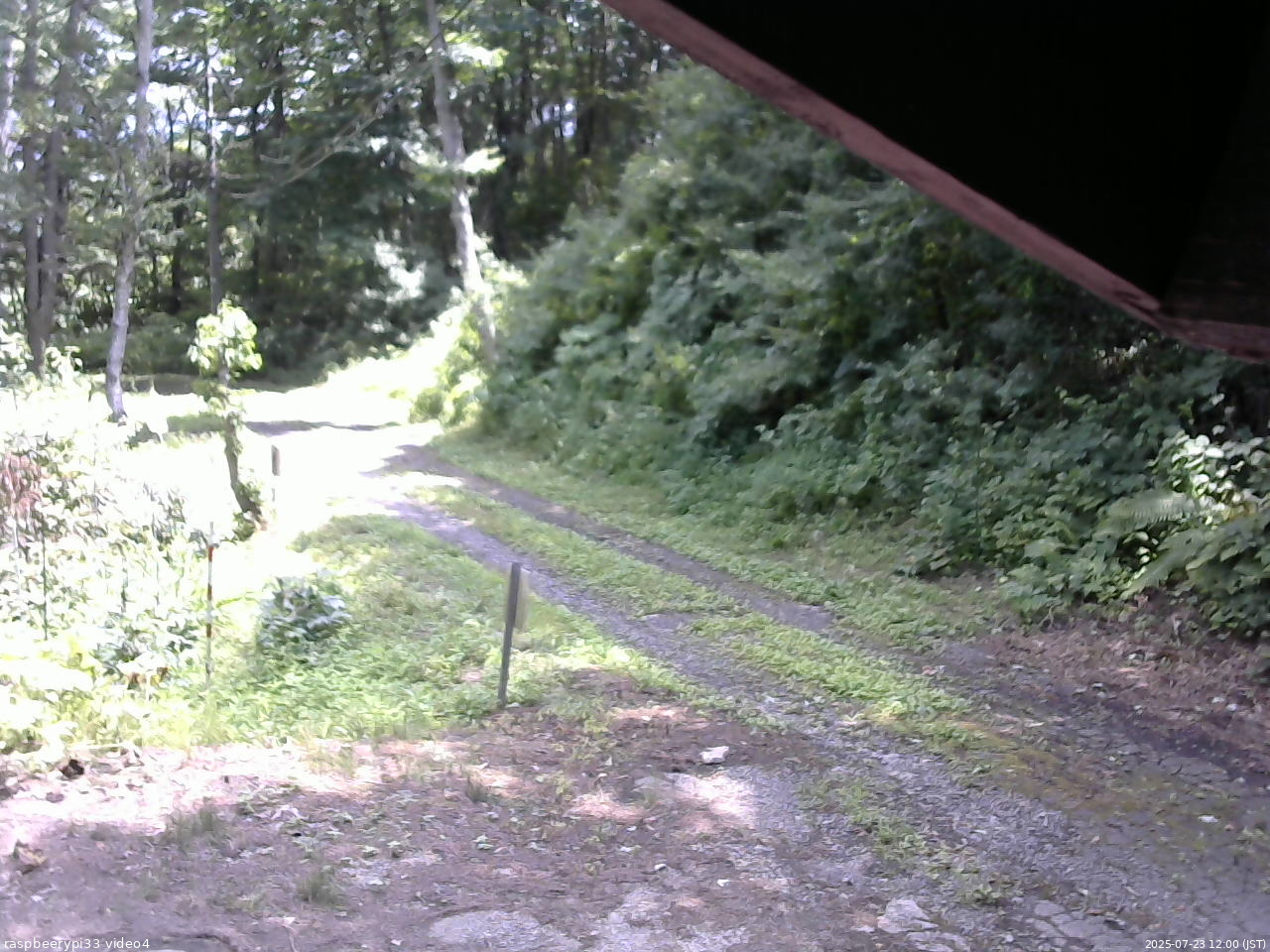 長野県菅平高原 ゆたか山荘 東側(坂下) 2025/07/23 12:00